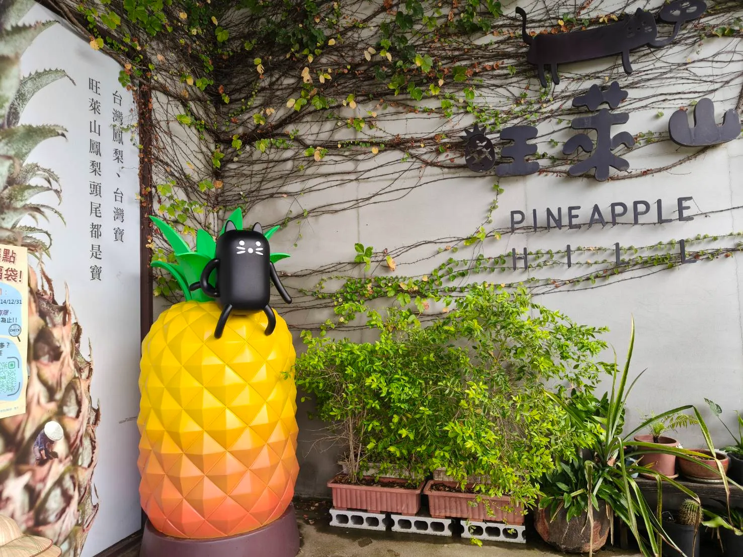 旺萊山吉祥物旺萊貓